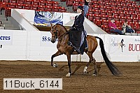 11buck_6144 proof
