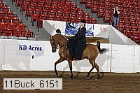 11buck_6151 proof