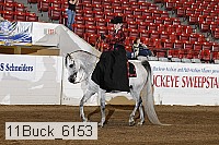 11buck_6153 proof