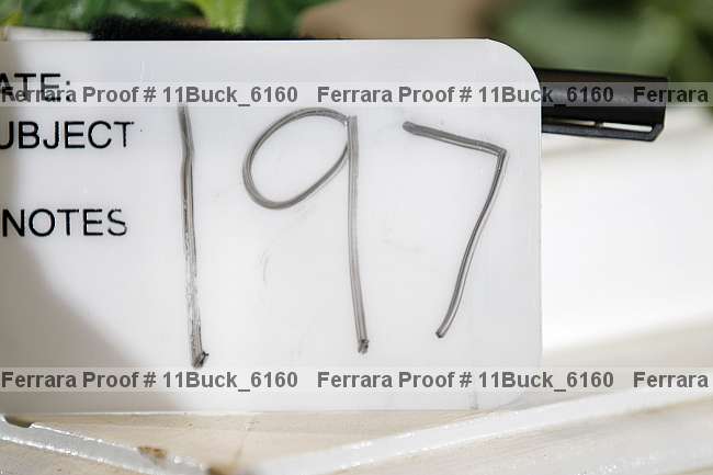 Proof 11buck_6160