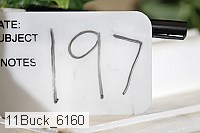 11buck_6160 proof