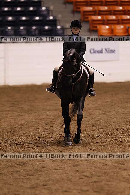 Proof 11buck_6161
