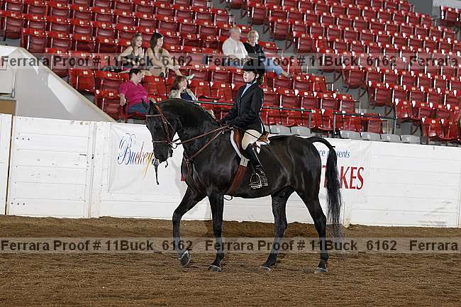 Proof 11buck_6162