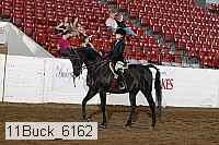 11buck_6162 proof