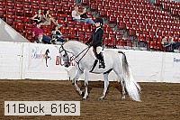 11buck_6163 proof