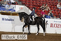 11buck_6165 proof