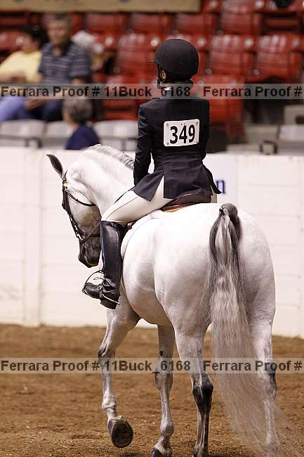 Proof 11buck_6168