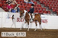 11buck_6170 proof