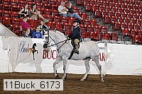 11buck_6173 proof