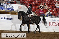 11buck_6179 proof