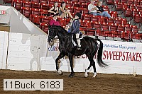 11buck_6183 proof