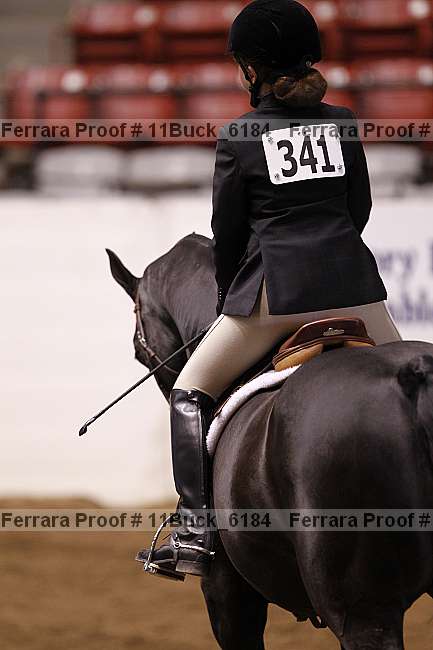 Proof 11buck_6184