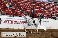 11buck_6188 proof