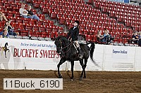 11buck_6190 proof
