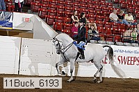 11buck_6193 proof