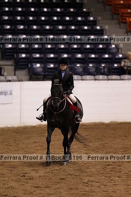 Proof 11buck_6196