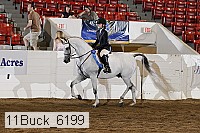 11buck_6199 proof