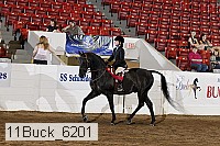 11buck_6201 proof