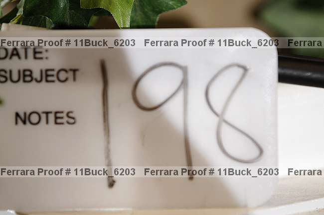 Proof 11buck_6203