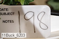 11buck_6203 proof