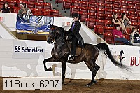 11buck_6207 proof