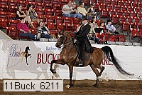 11buck_6211 proof