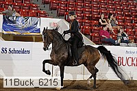 11buck_6215 proof