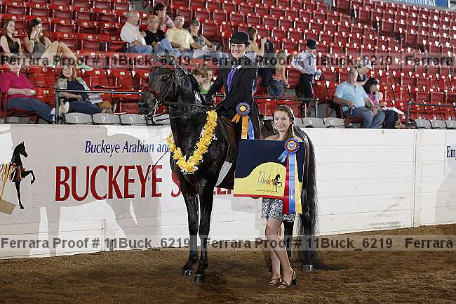Proof 11buck_6219