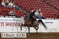 11buck_6230 proof
