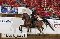 11buck_6231 proof