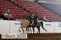 11buck_6233 proof