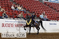 11buck_6235 proof