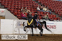 11buck_6236 proof