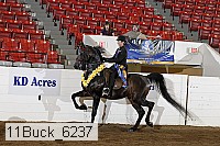 11buck_6237 proof