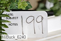 11buck_6240 proof