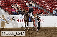 11buck_6247 proof