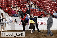11buck_6249 proof