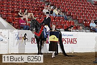 11buck_6250 proof