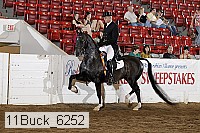 11buck_6252 proof