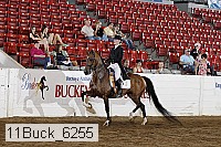 11buck_6255 proof