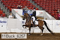 11buck_6257 proof