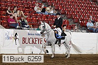 11buck_6259 proof