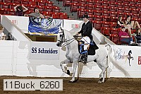 11buck_6260 proof