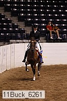 11buck_6261 proof