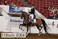 11buck_6264 proof