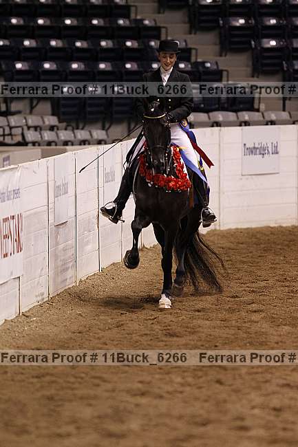 Proof 11buck_6266