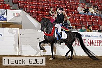 11buck_6268 proof