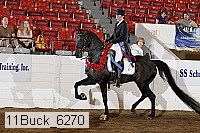 11buck_6270 proof