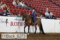 11buck_6273 proof
