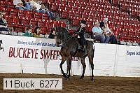 11buck_6277 proof